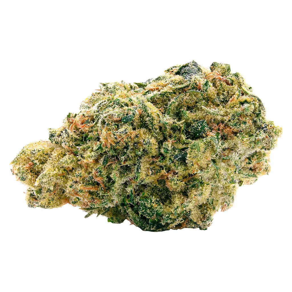 Spinach Spinach